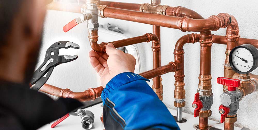 Professional Plumbers