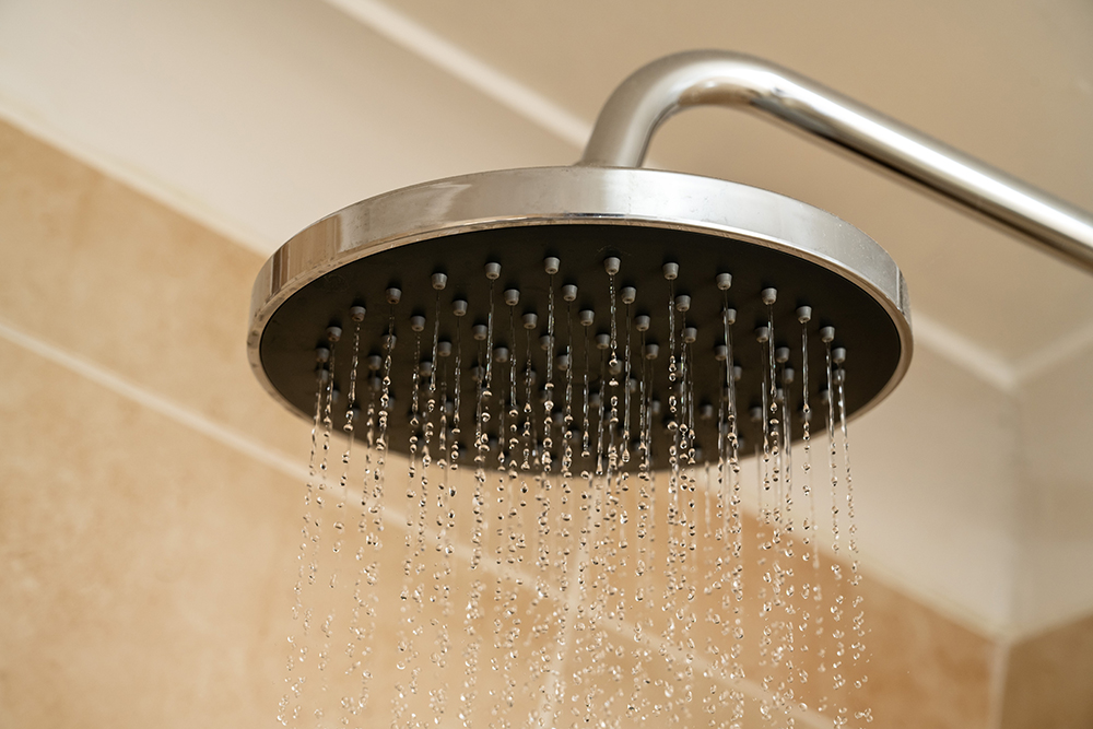 Shower Head